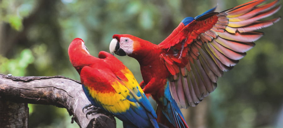 Costa Rica